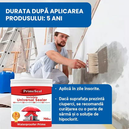 PrimeSeal – Przezroczysty uszczelniacz przeciwwilgociowy